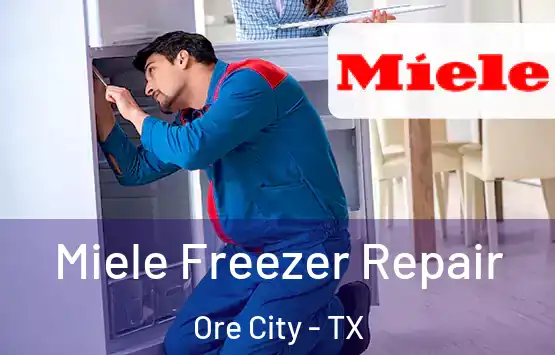  Miele Freezer Repair Ore City - TX