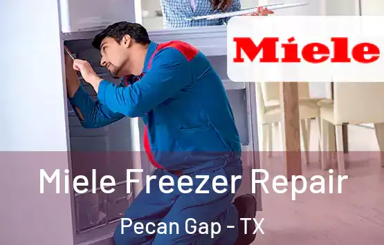  Miele Freezer Repair Pecan Gap - TX