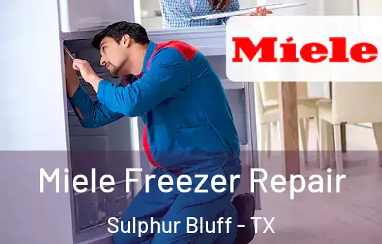 Miele Freezer Repair Sulphur Bluff - TX