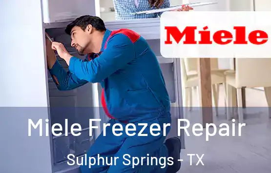  Miele Freezer Repair Sulphur Springs - TX