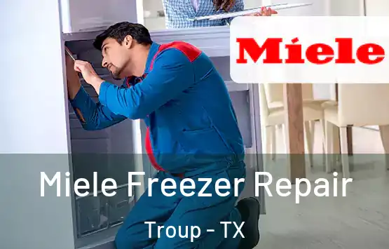  Miele Freezer Repair Troup - TX
