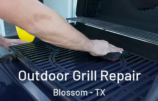  Outdoor Grill Repair Blossom - TX