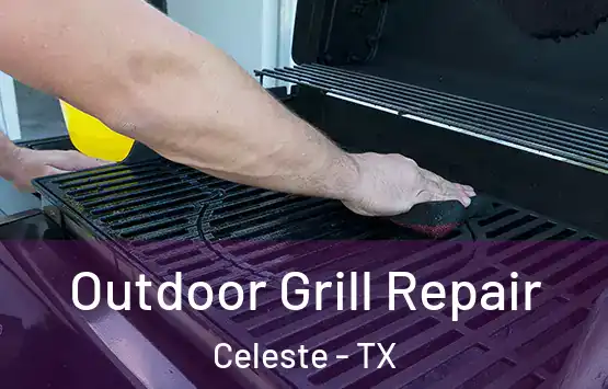  Outdoor Grill Repair Celeste - TX
