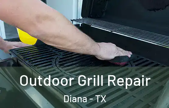  Outdoor Grill Repair Diana - TX