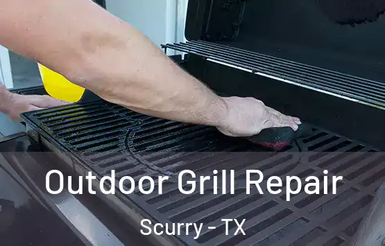  Outdoor Grill Repair Scurry - TX