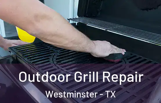  Outdoor Grill Repair Westminster - TX