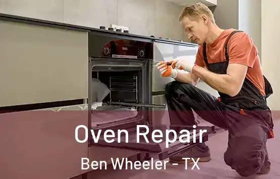  Oven Repair Ben Wheeler - TX