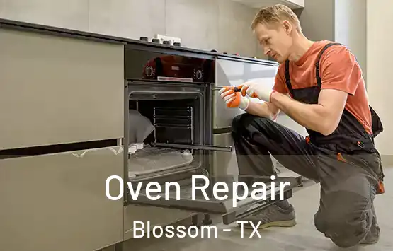  Oven Repair Blossom - TX