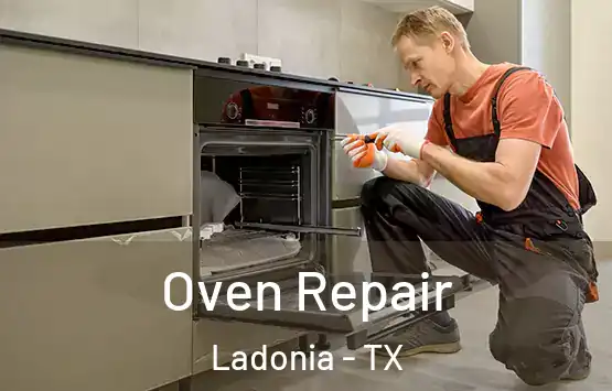  Oven Repair Ladonia - TX