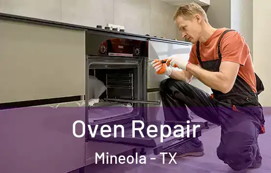  Oven Repair Mineola - TX