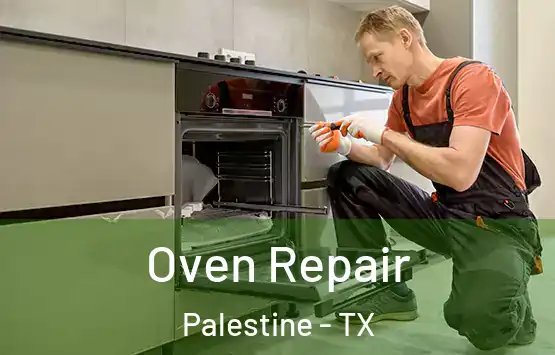  Oven Repair Palestine - TX