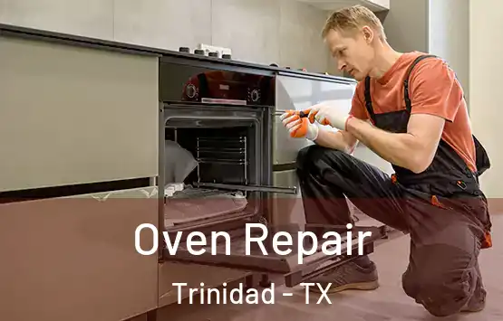  Oven Repair Trinidad - TX