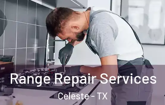  Range Repair Services Celeste - TX