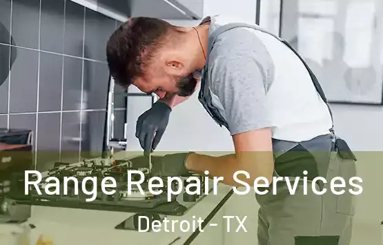  Range Repair Services Detroit - TX