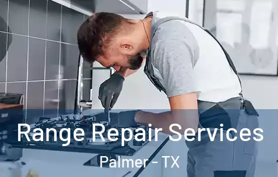  Range Repair Services Palmer - TX