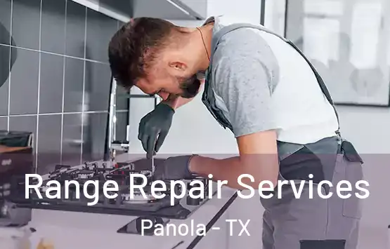  Range Repair Services Panola - TX