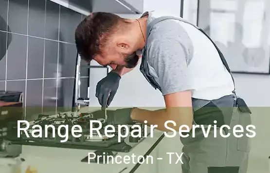  Range Repair Services Princeton - TX