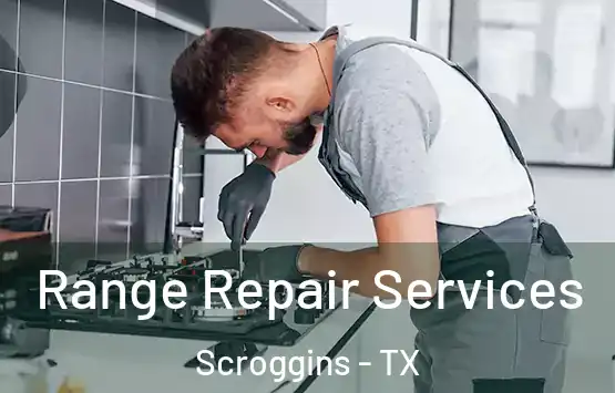  Range Repair Services Scroggins - TX