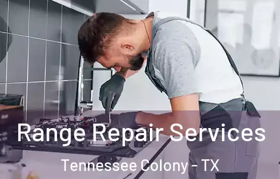  Range Repair Services Tennessee Colony - TX