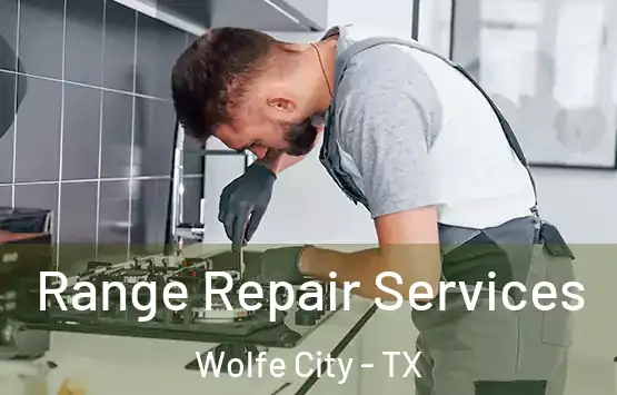  Range Repair Services Wolfe City - TX