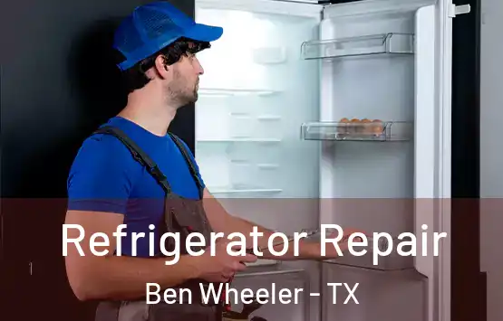  Refrigerator Repair Ben Wheeler - TX