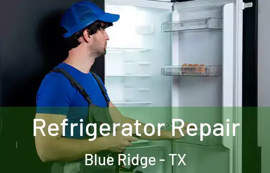 Refrigerator Repair Blue Ridge - TX
