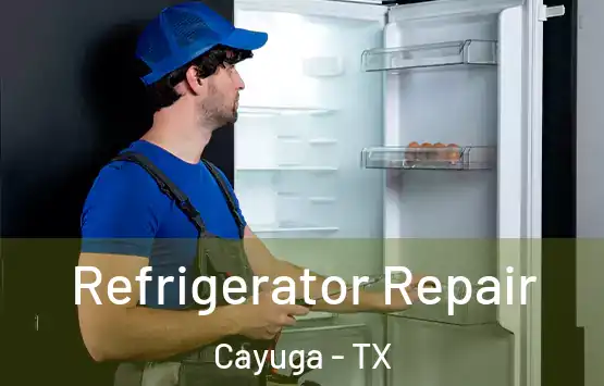  Refrigerator Repair Cayuga - TX