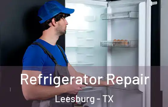  Refrigerator Repair Leesburg - TX