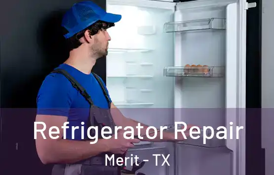  Refrigerator Repair Merit - TX