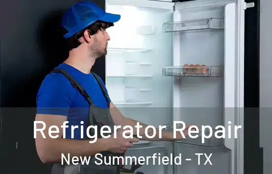  Refrigerator Repair New Summerfield - TX