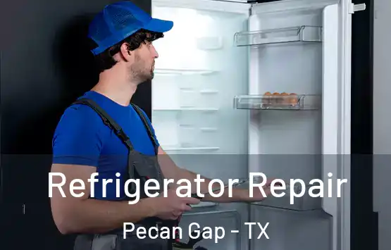  Refrigerator Repair Pecan Gap - TX