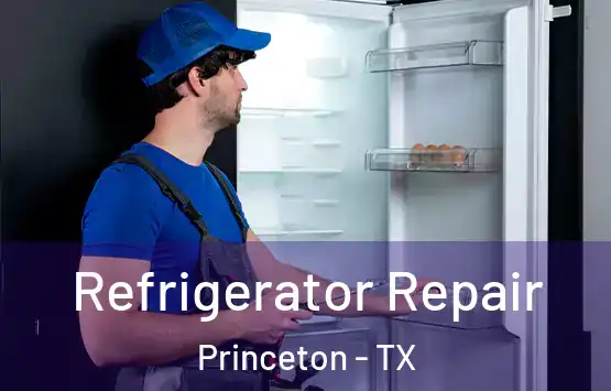  Refrigerator Repair Princeton - TX