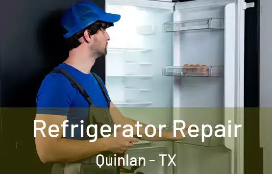  Refrigerator Repair Quinlan - TX