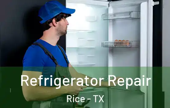  Refrigerator Repair Rice - TX