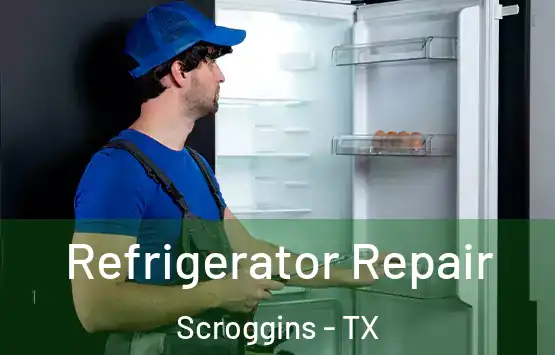  Refrigerator Repair Scroggins - TX