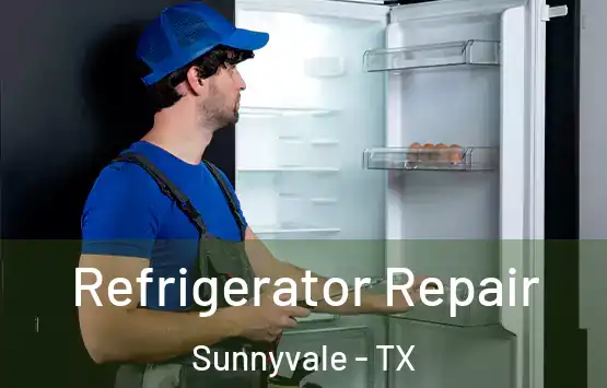  Refrigerator Repair Sunnyvale - TX