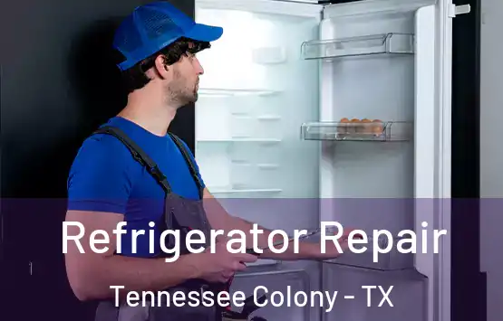  Refrigerator Repair Tennessee Colony - TX