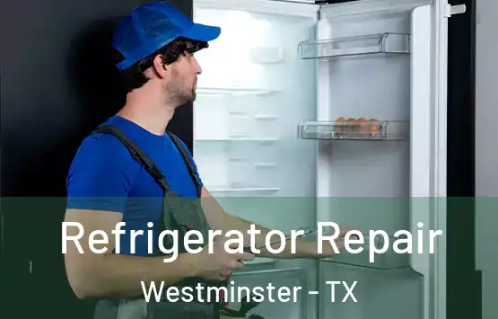  Refrigerator Repair Westminster - TX