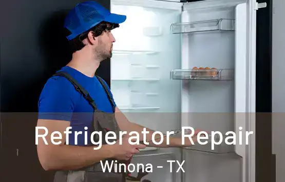 Refrigerator Repair Winona - TX