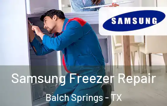  Samsung Freezer Repair Balch Springs - TX