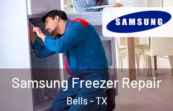  Samsung Freezer Repair Bells - TX