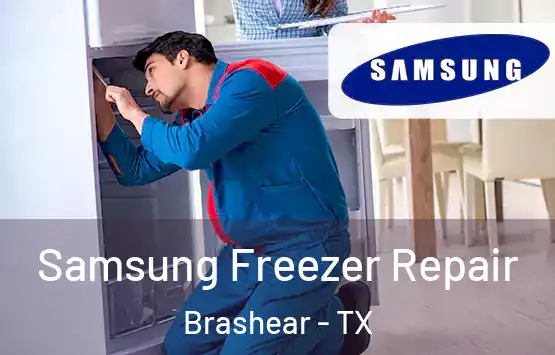  Samsung Freezer Repair Brashear - TX