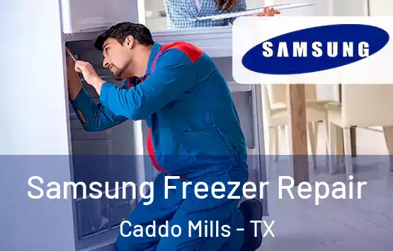  Samsung Freezer Repair Caddo Mills - TX