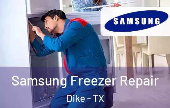  Samsung Freezer Repair Dike - TX