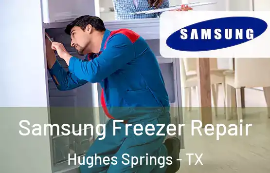  Samsung Freezer Repair Hughes Springs - TX