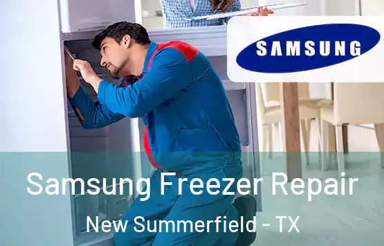  Samsung Freezer Repair New Summerfield - TX