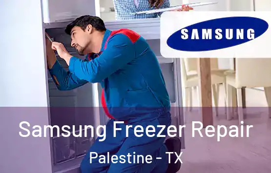  Samsung Freezer Repair Palestine - TX
