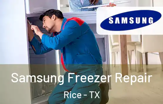  Samsung Freezer Repair Rice - TX