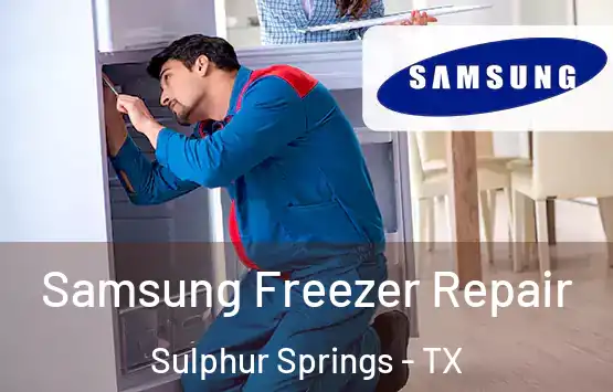  Samsung Freezer Repair Sulphur Springs - TX