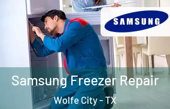  Samsung Freezer Repair Wolfe City - TX